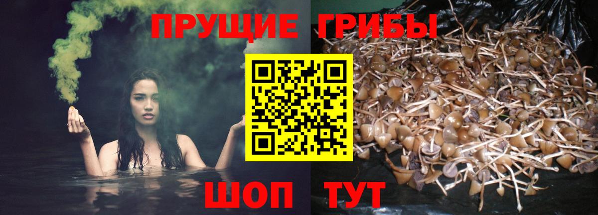 Родники  купить закладку  Вход с VPN  Псилоцибиновые грибы ЛСД 
